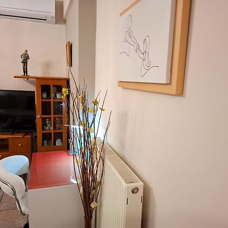 Απέριττον 2 Apartment Trikala  Bagian luar foto